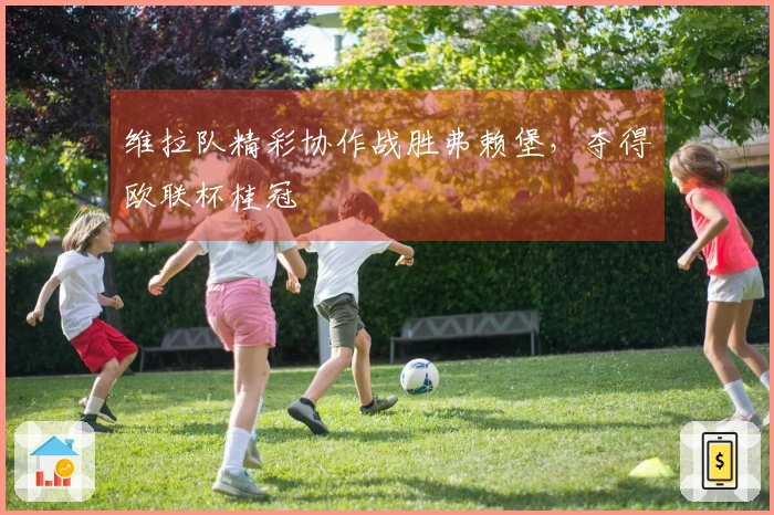 维拉队精彩协作战胜弗赖堡，夺得欧联杯桂冠