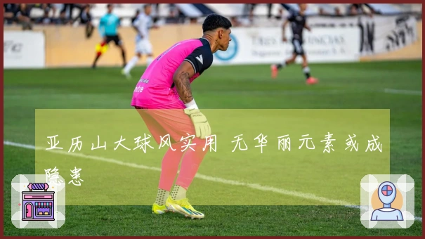 亚历山大球风实用 无华丽元素或成隐患
